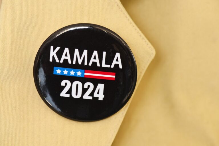 a-small-army-of-overpaid-tiktokers-is-not-going-to-save-the-democratic-party-thumb